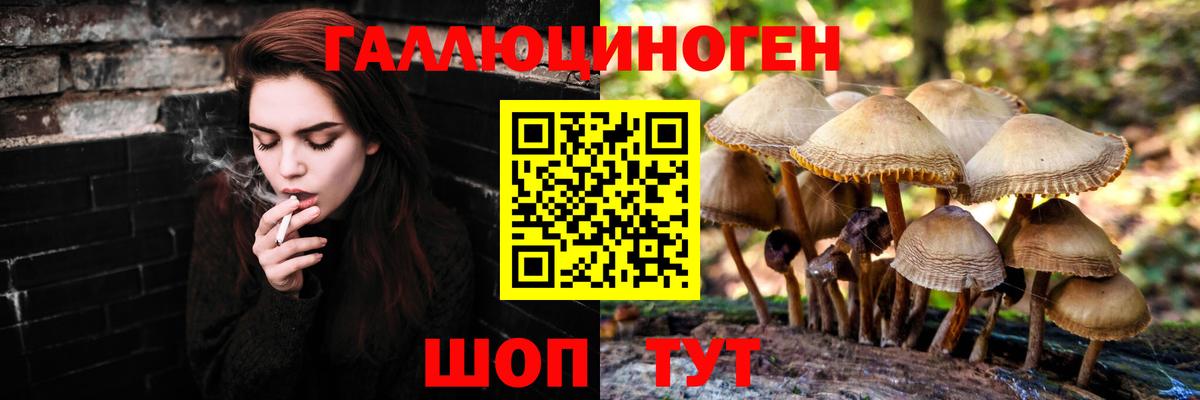 Псилоцибиновые грибы прущие грибы Моздок